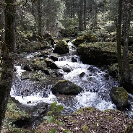 Anno - Wohlfuehl - Idylle In Gruenbach_kirchdorf *